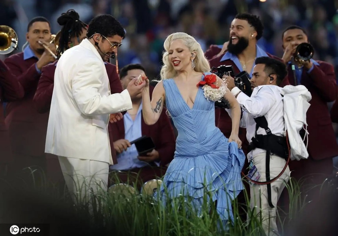 一只沙漠里的“流浪”猫，被几千个陌生人用照片拼出了一生